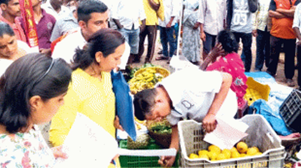 Vendor caught applying ripening  agents to mangoes at Canacona