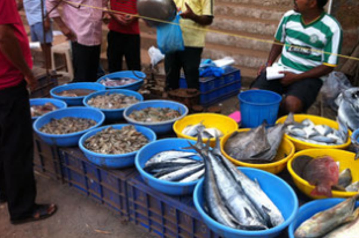 Vendors at Tarir demand market complex