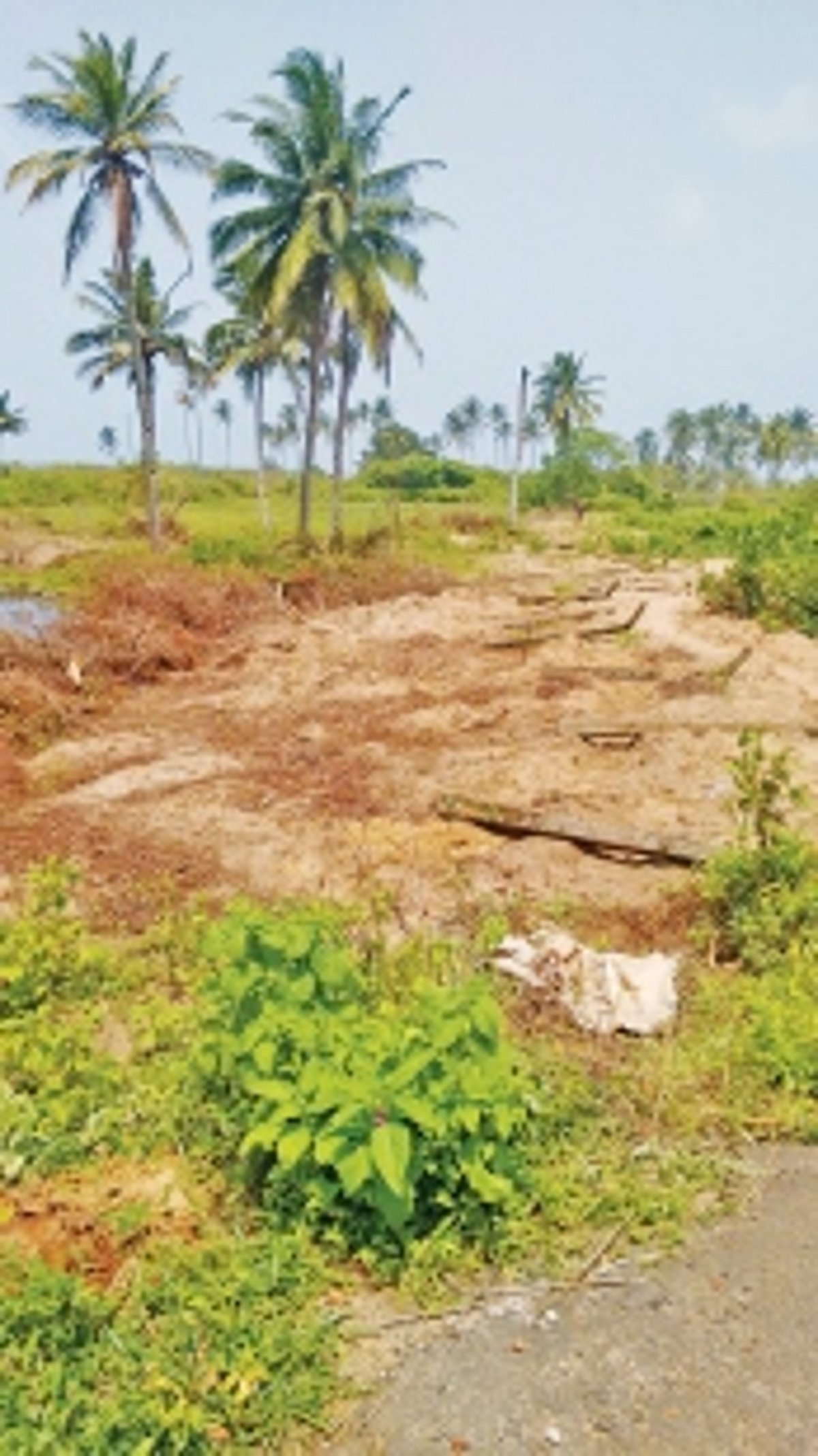 Verna cops, flying squad stop work along Cansaulim shore