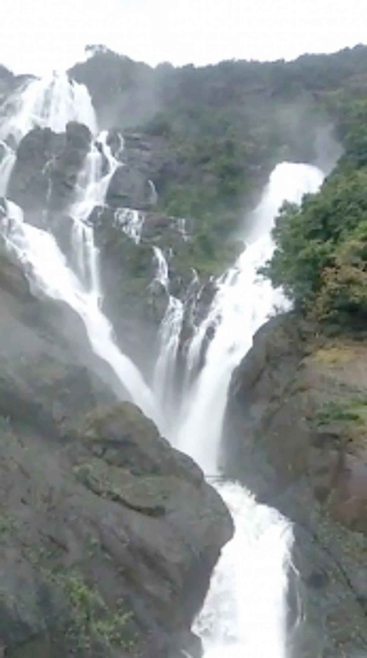 Videos of majestic Dudhsagar Falls go viral
