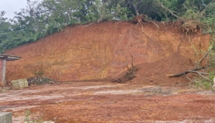 Village Talathis directed to patrol, report all instances of hill-cutting 1 Village Talathis directed to patrol, report all instances of hill-cutting