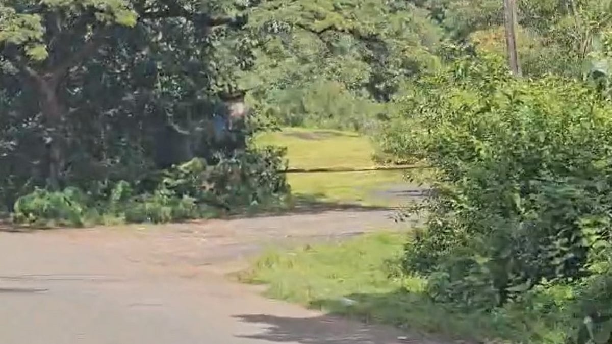 Villagers Halt Illegal Tree Felling in Surla, Demand Protection of Biodiversity