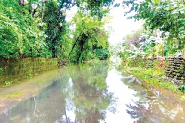 Villagers at Nirankal-Dabal struggle with flooded road