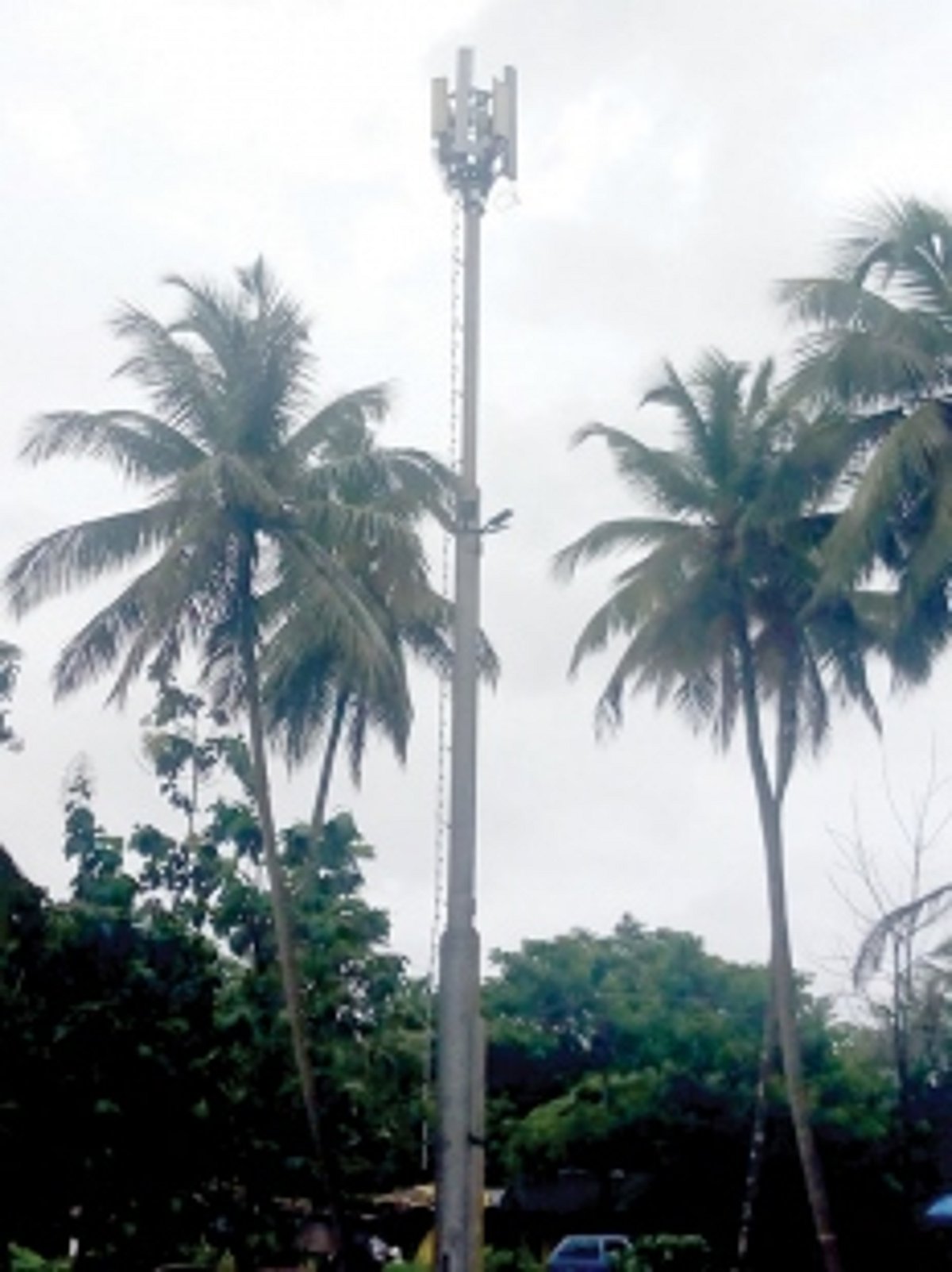 Villagers demand demolition of mobile tower at Veling