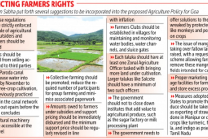 Villagers in Chandor-Cavorim rally for extended time to shape Agriculture Policy