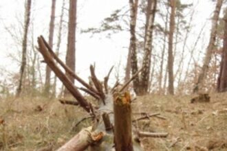 Villagers of Sonal, Sarvde, Kudshe and Budruk Karmali bear the brunt