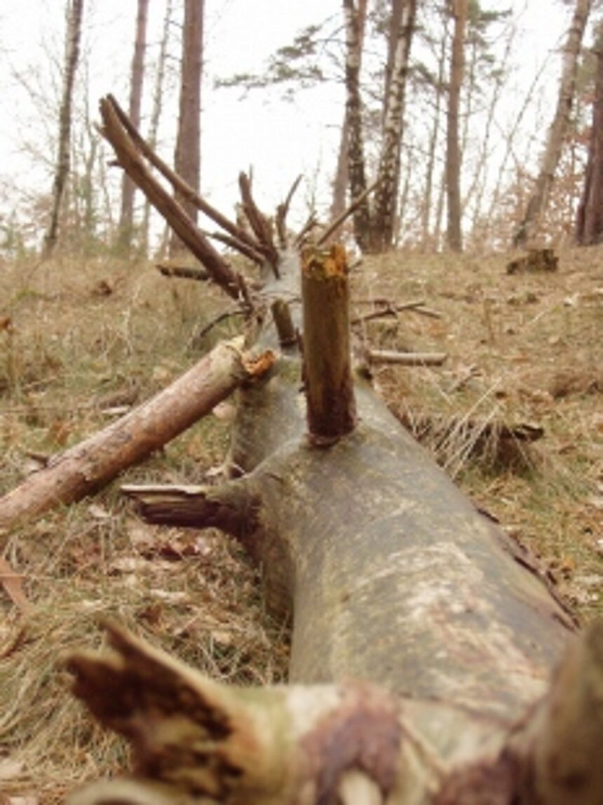 Villagers of Sonal, Sarvde, Kudshe and Budruk Karmali bear the brunt