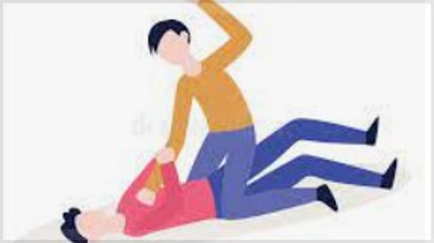 Viral Video Leads to Arrest of Tourists for Brutal Attack on Local in Sangolda