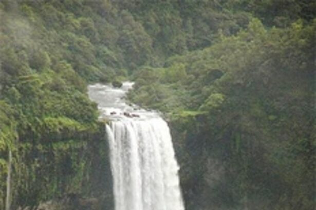 Visiting Kuskem – A goodbye to Goa's extended monsoons