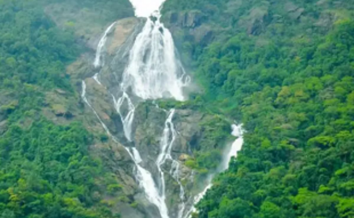 Visitors to Dudhsagar falls can now book online