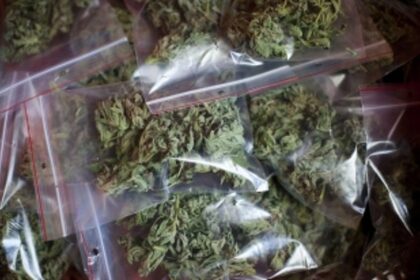 WB native held with  cannabis
