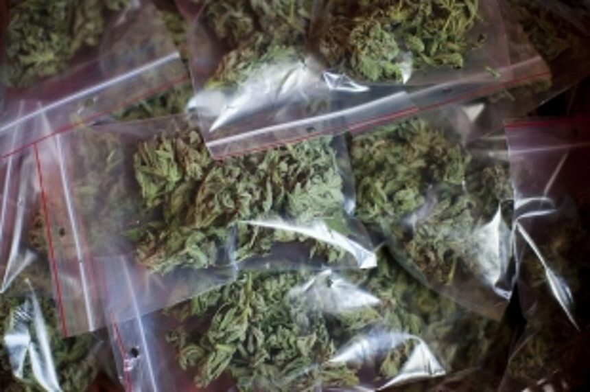WB native held with cannabis 1 WB native held with cannabis