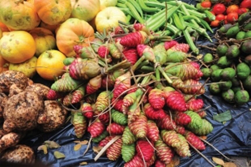 WHAT’S DECORATING YOUR MATOLI THIS YEAR? 1 WHAT’S DECORATING YOUR MATOLI THIS YEAR?