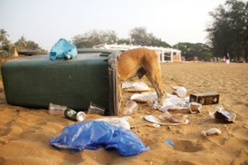 WHAT’S HAPPY ABOUT THIS?