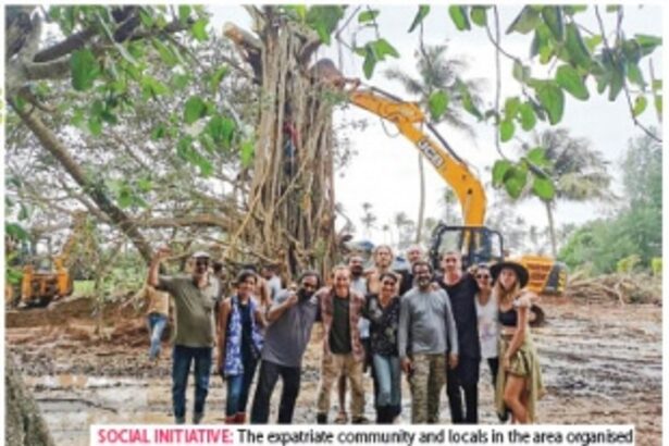 WHEN A 100-YEAR-OLD TREE WAS RAISED. AND SPIRITS WERE UPLIFTED