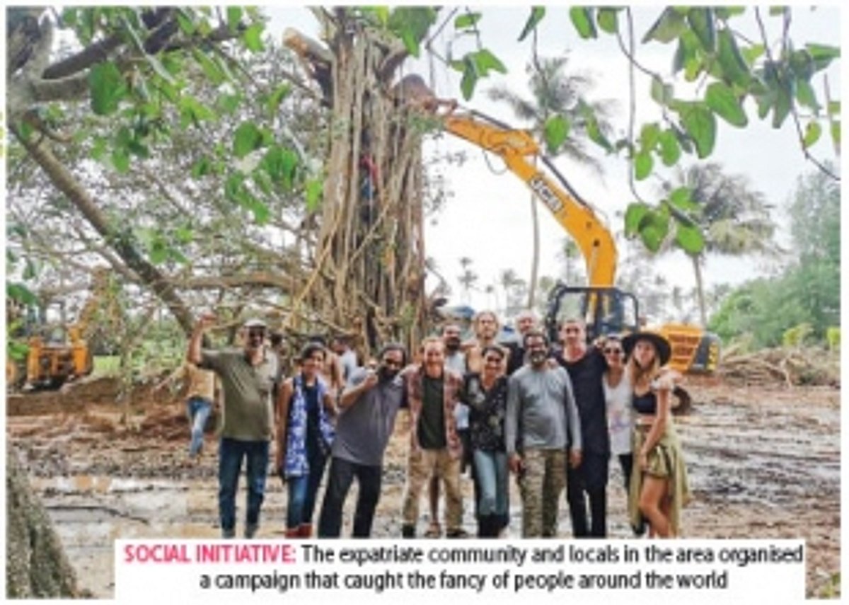 WHEN A 100-YEAR-OLD TREE WAS RAISED. AND SPIRITS WERE UPLIFTED