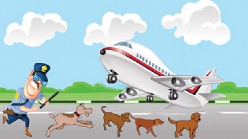 WHO LET THE DOGS IN?