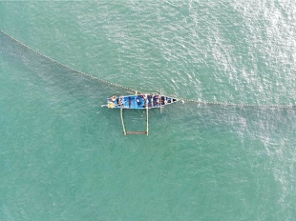 WHO WILL PUT THOSE (LED) LIGHTS OUT?