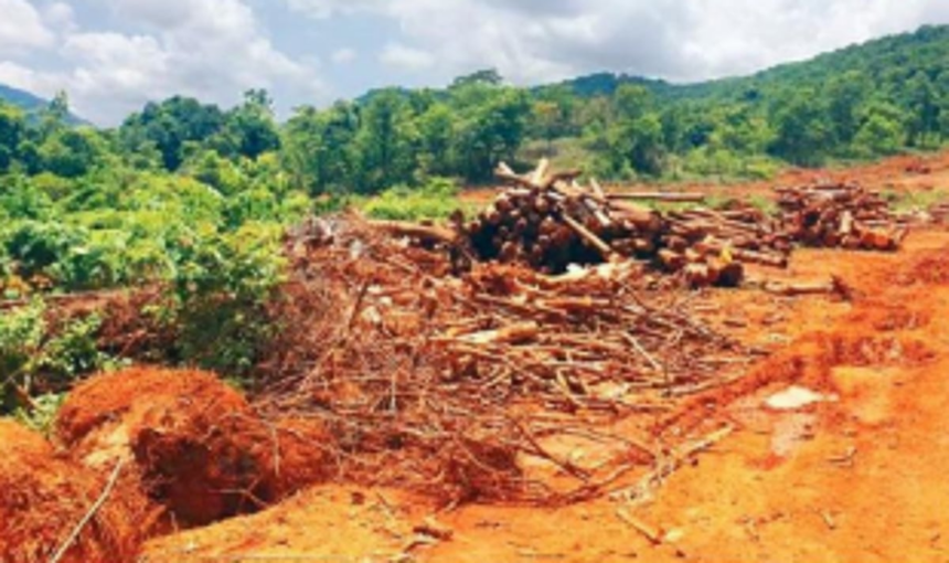 WHOSE ECOSYSTEM IS GOA RESTORING?