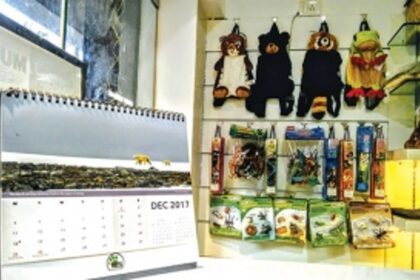WILDLIFE IN YOUR HOME