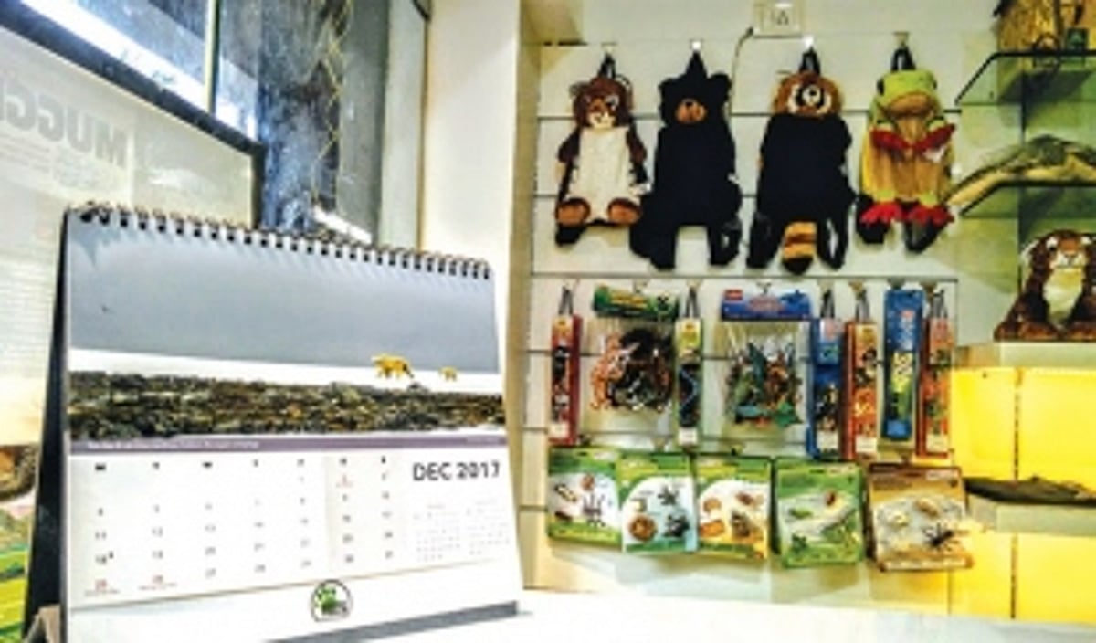WILDLIFE IN YOUR HOME