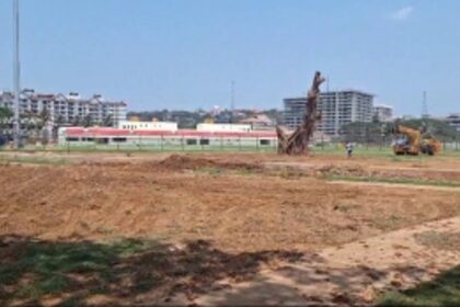 WILL IT SURVIVE? : Banyan tree relocated yet again, this time 25 meters further