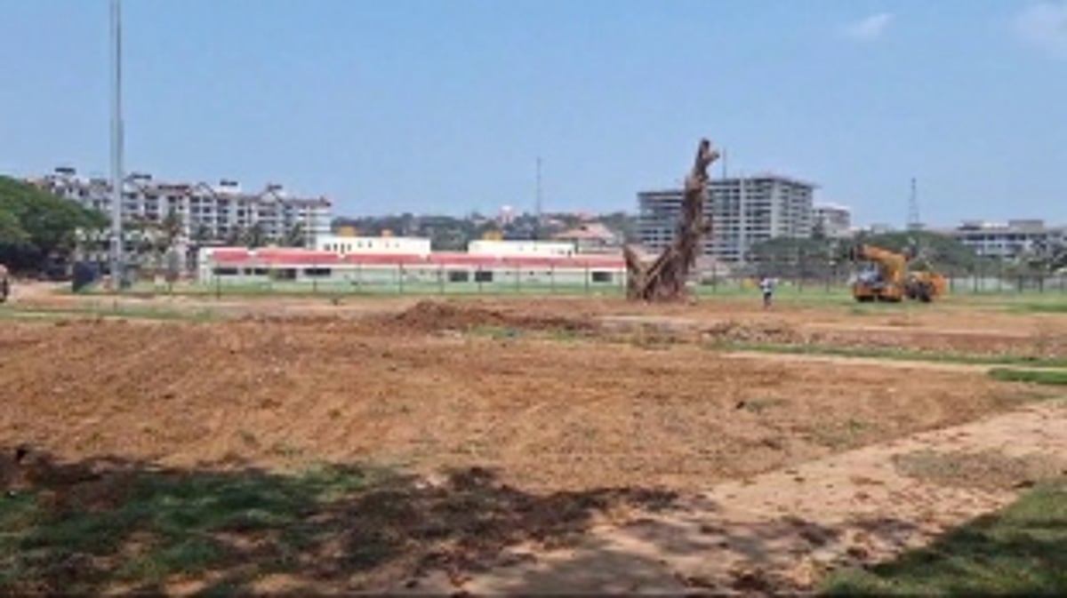 WILL IT SURVIVE? : Banyan tree relocated yet again, this time 25 meters further