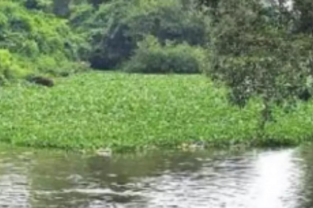 WRD Min, Aldona MLA inspect water bodies