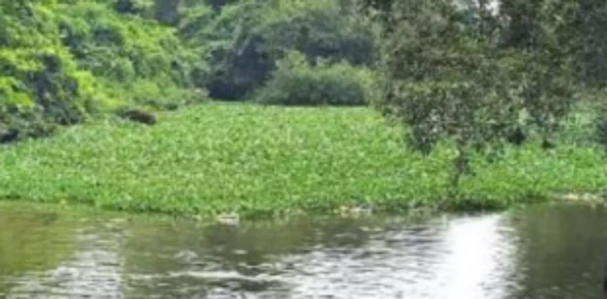 WRD Min, Aldona MLA inspect water bodies