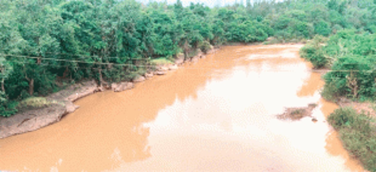 WRD Minister seeks report on Dudhsagar pollution by Oct 31