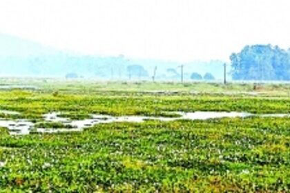 WRD Minister takes immediate action over field inundation at Siolim; assures farmers of swift measures to revive agriculture
