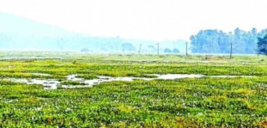 WRD Minister takes immediate action over field inundation at Siolim; assures farmers of swift measures to revive agriculture