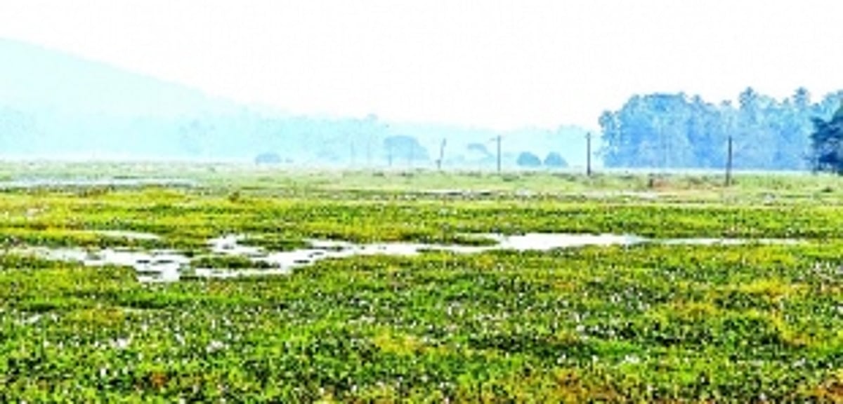 WRD Minister takes immediate action over field inundation at Siolim; assures farmers of swift measures to revive agriculture