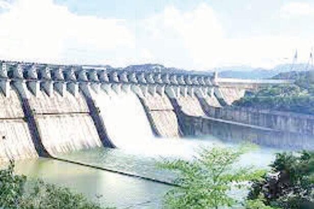 WRD gets nod to construct dam in Mhadei Sanctuary at Charaunem