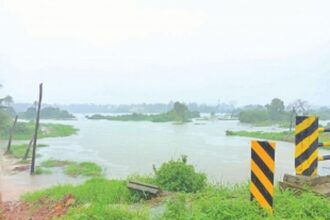 WRD to recommend construction of Western Bypass on stilts