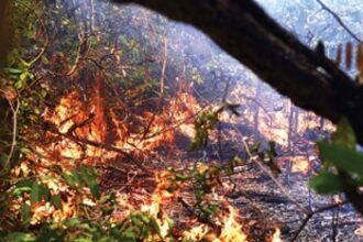 Wading through the forest, O Heraldo gives readers a real account of harrowing experience atop the hill