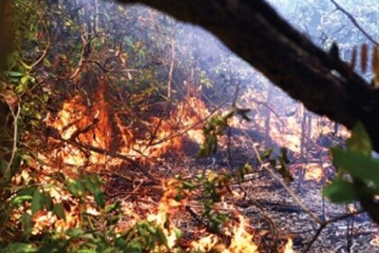 Wading through the forest, O Heraldo gives readers a real account of harrowing experience atop the hill