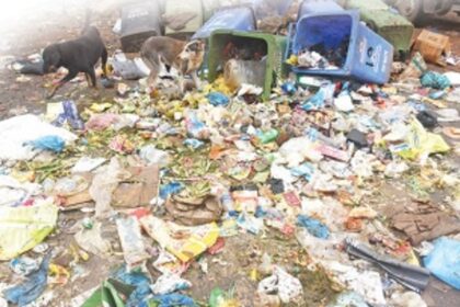 Wake up and smell the garbage!