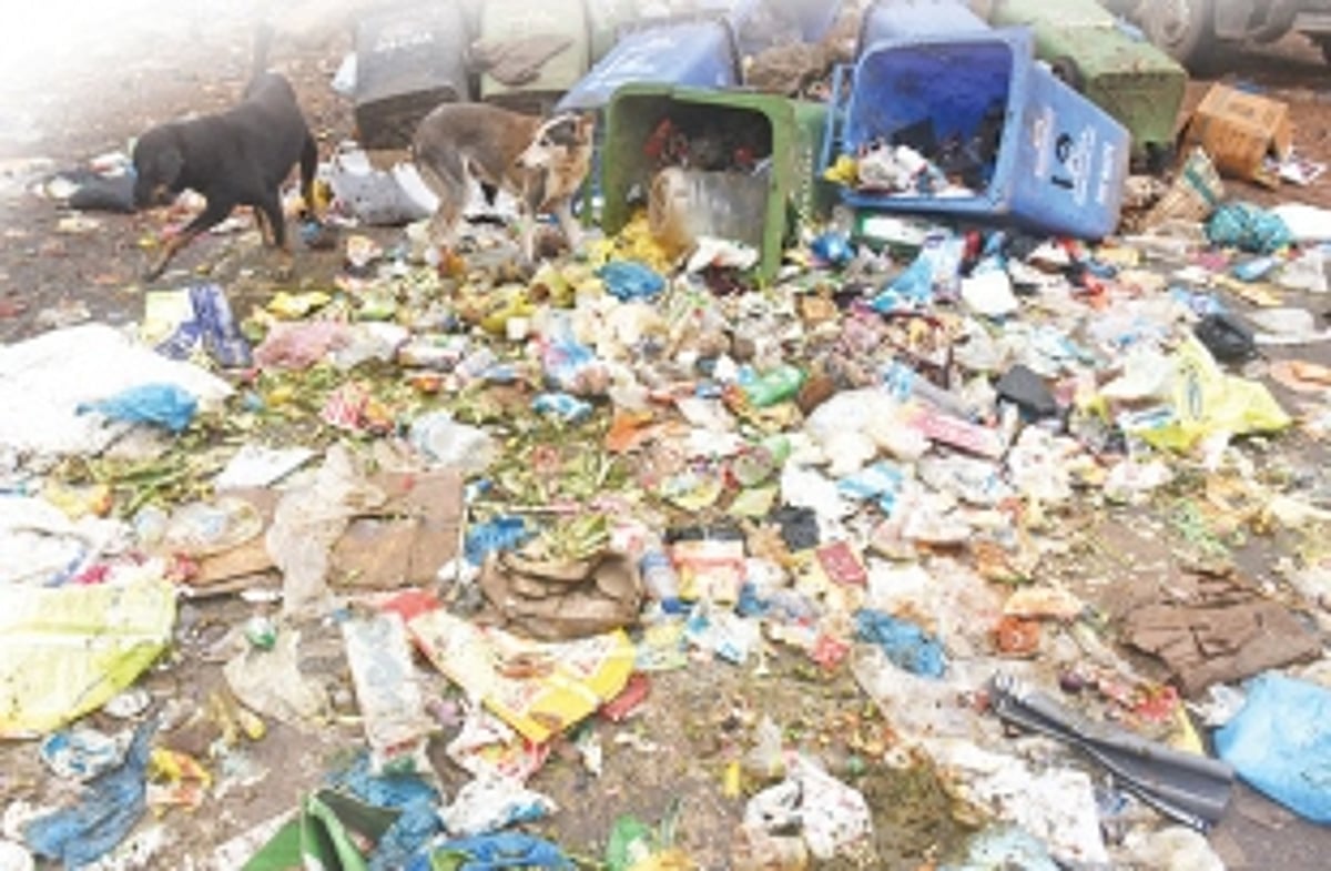 Wake up and smell the garbage!