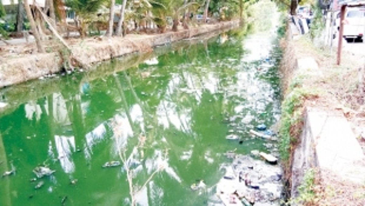 War of Panjim, battle of words