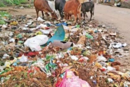 Ward 6, 12 reel under roadside garbage dumping, ward 14 suffers irregular water supply