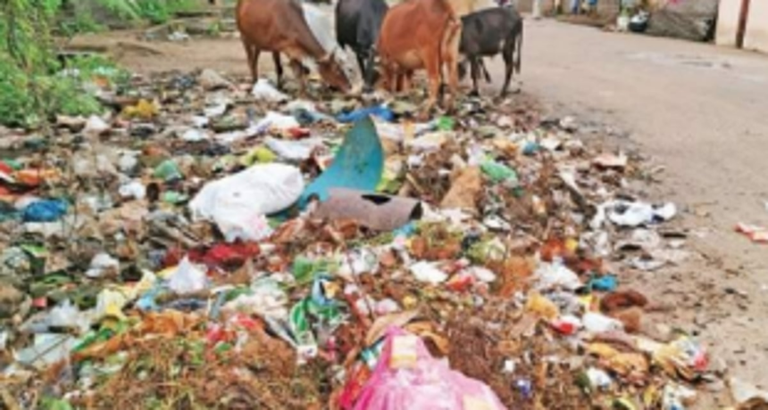 Ward 6, 12 reel under roadside garbage dumping, ward 14 suffers irregular water supply