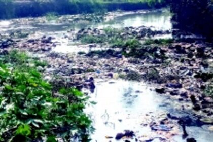Waste dumped into Kavlem nullah, agriculture hit