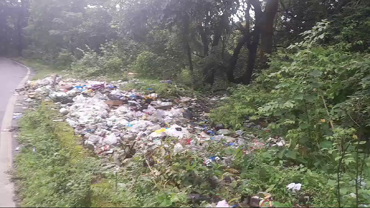 Waste dumping in Valpoi Forest raises alarms over environmental negligence
