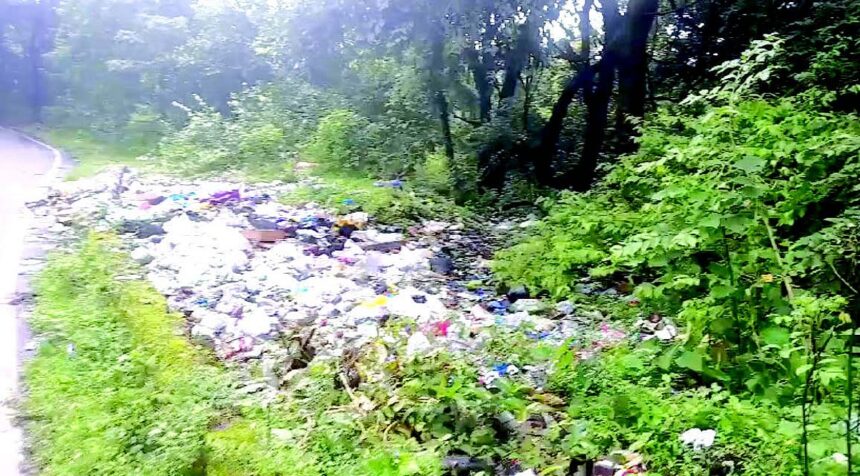 Waste dumping in Valpoi forest raises alarms over environmental negligence 1 Waste dumping in Valpoi
forest raises alarms over environmental negligence