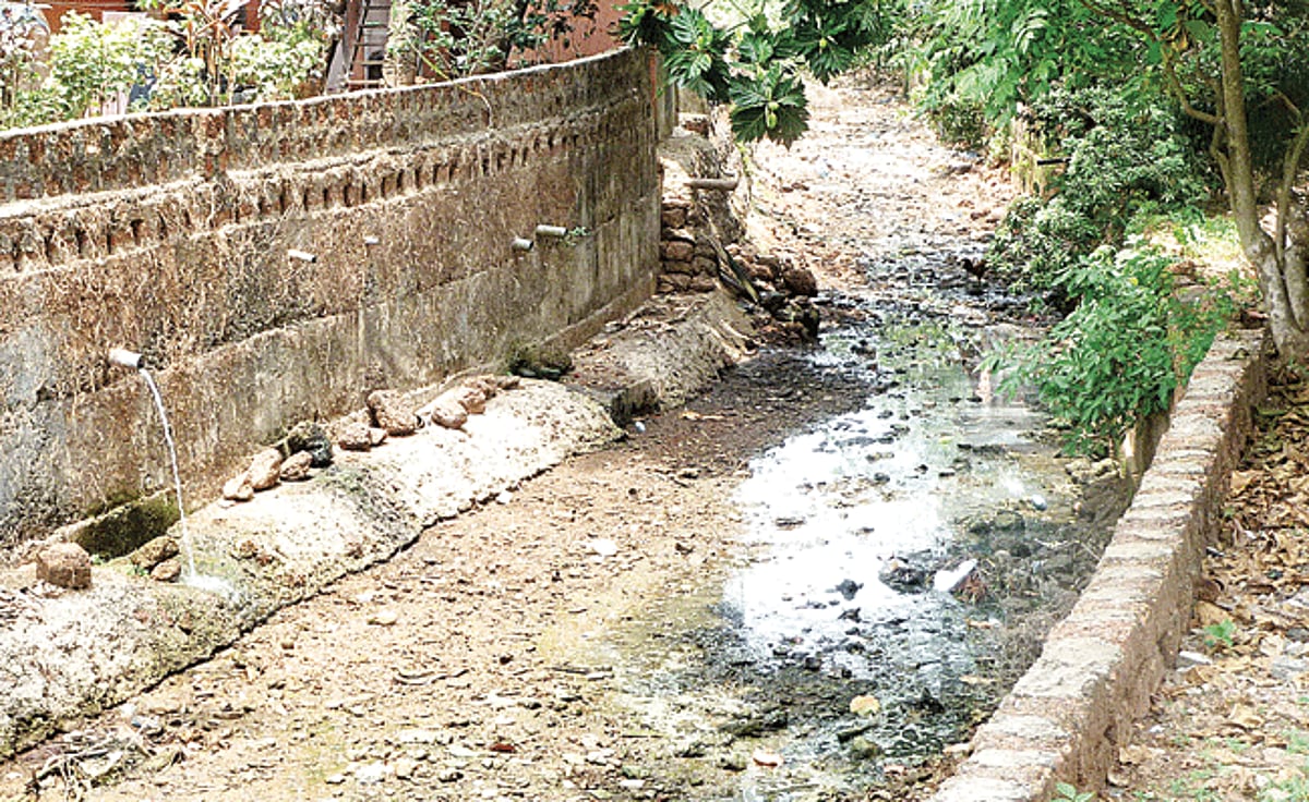 Waste from a pipe is discharged into the nullah at Cortalim.