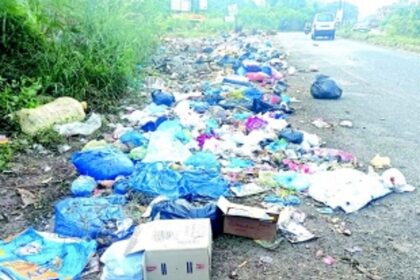 Waste raises a stink near Eastern bypass at Davorlim