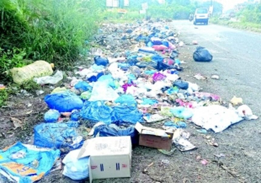 Waste raises a stink near Eastern bypass at Davorlim