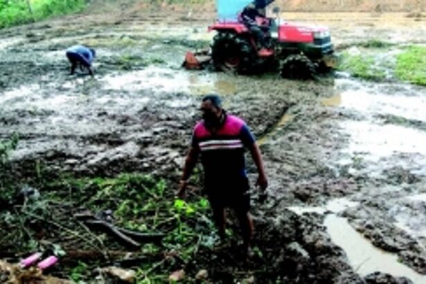 Waste water, garbage dumped in fields pose severe challenge for farmers of Velop-Kavlem