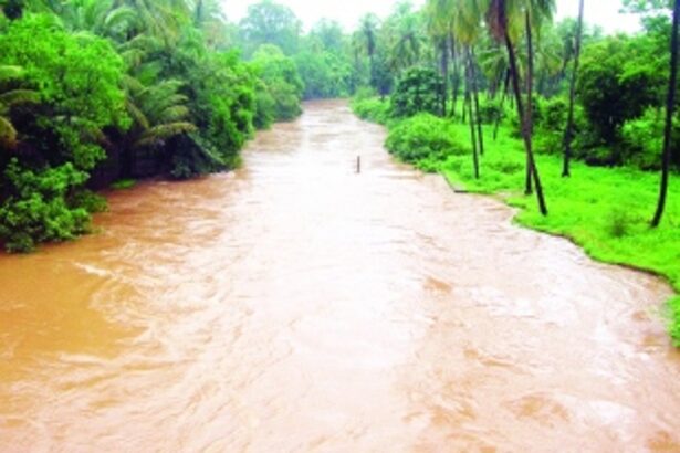 Water levels of Bicholim, Valwanti rivers rise